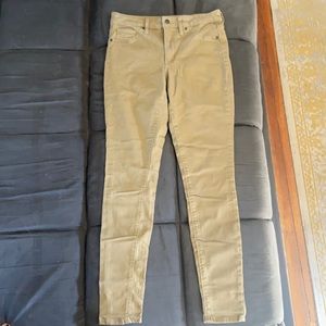Universal thread (target) pants
